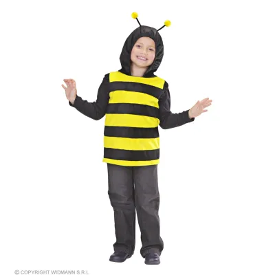 bee-costume-widmann-9296a