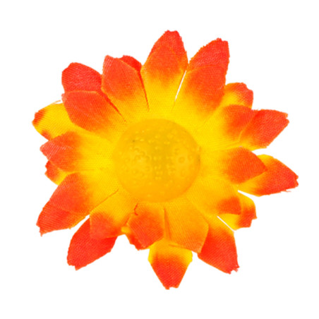 margrietinas-oranzi-dzeltenas-20-gab-widmann-23981-1