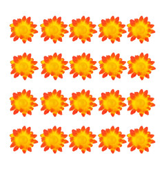 orange-yellow-dasies-20-gab-widmann-23981-2