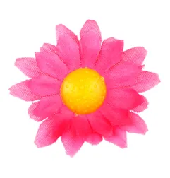 dasies-fuchsia-pink-20-gab-widmann-23983