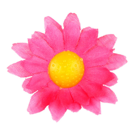 margrietinas-fuksijas-roza-20-gab-widmann-23983