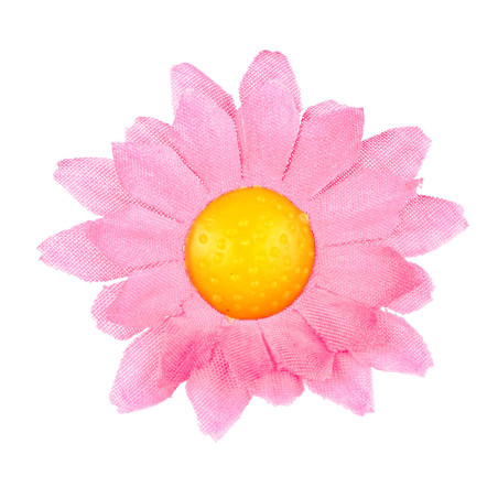 margrietinas-roza-20-gab-widmann-23982