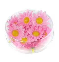 Margrietiņas rozā, 20 gab.