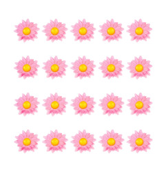 dasies-pink-20-gab-widmann-23982-2