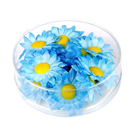 Margrietiņas zilas 20 gab.