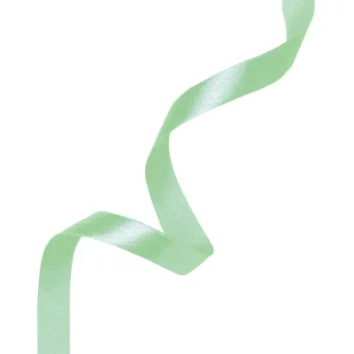 satin-ribbon-mint-6mm-23m-partypal-147184