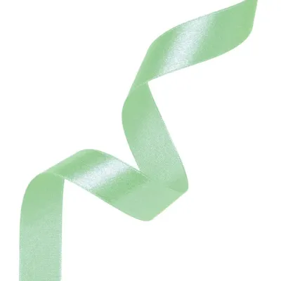 satin-ribbon-mint-green-12mm-23m-partypal-147191