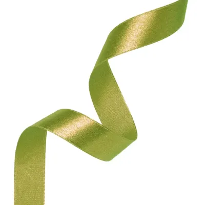 satin-ribbon-green-12mm-23m-partypal-147313