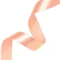 satin-ribbon-salmon-partypal-146071