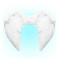 white-feather-wings-50x40cm-widmann-01037