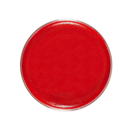 red-makeup-25g-widmann-02389
