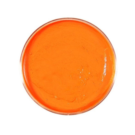orange-makeup-25g-widmann-02397