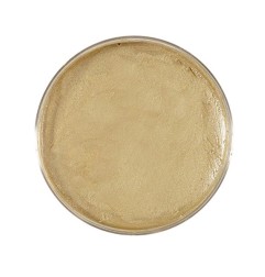 gold-makeup-widmann-02392