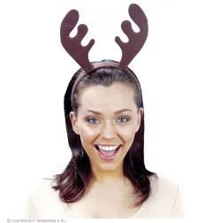 Reindeer horns